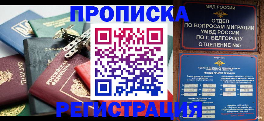 временная регистрация недорого в Майском